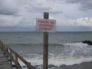 De woele branding van de baai van Arhus, zaterdagmiddag. (foto: René Hoeflaak) 
