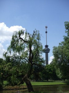 Het Park, Rotterdam