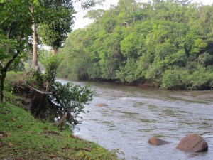 2011: Het binnenland van Suriname (foto: René Hoeflaak)
