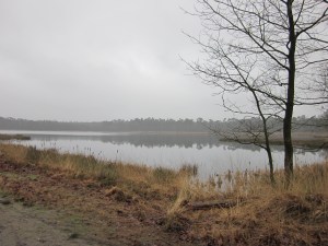 Vandaag: Ossengoor, een ven in de Chaamse Bossen (foto: René Hoeflaak)