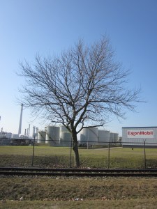 Rotterdam, Pernis, 5 maart 2013: Butaanweg (foto: René Hoeflaak)