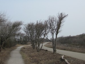 April 2013: Den Haag; Rand Westduinpark tussen Kijkduin en Scheveningen (foto: René Hoeflaak)