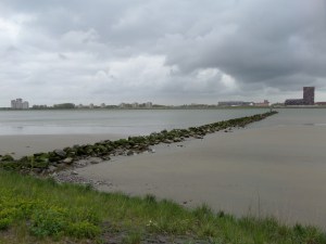 13 mei 2013,  Rozenburg: Zicht op de Nieuwe Waterweg (foto: René Hoeflaak) 