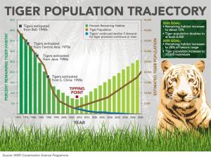 Grafiek uit 2010 van tijgerpopulatie en doelstellingen van WNF  (bron: www.wnf.nl) 