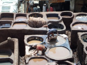 Leerlooien in de Medina van Fes (foto: René Hoeflaak)