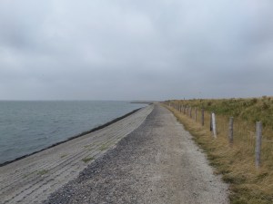 15 augustus 2013; Zeeland, Schouwen-Duiveland: Dijk langs de Oosterschelde (foto: René Hoeflaak)