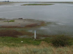 Augustus 2013: Inlaaggebied  in Nationaal Park Oosterschelde. (foto: René Hoeflaak)