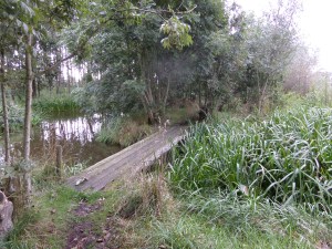 Alphen aan den Rijn, 19 september 2013: Kruiskade (foto: René Hoeflaak)