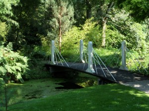 Rotterdam, 27 augustus 2013: Arboretum Trompenburg (foto: René Hoeflaak)