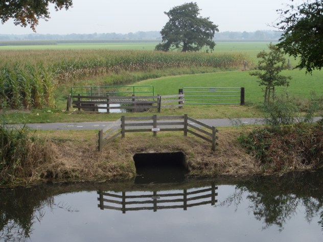 Dinsdag 8 oktober 2013: Valleikanaal bij Woudenberg. Met daarachter de Gelderse Vallei (foto: René Hoeflaak)