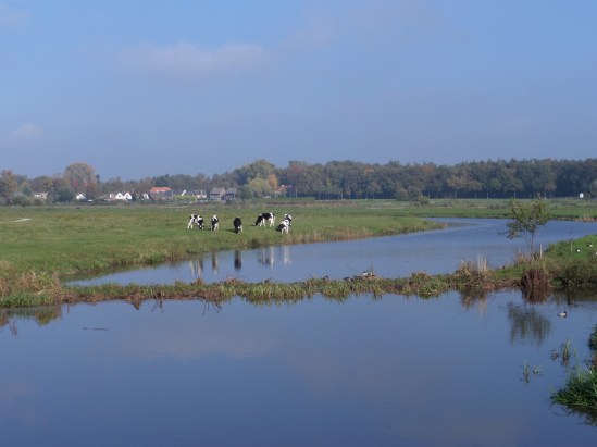Breda, 24 oktober 2013: Rivier de Mark met op de achtergrond het plaatsje Ulvenhout (foto: René Hoeflaak) 