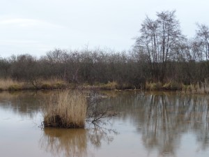 Wolvega, de Lendevallei (foto: René Hoeflaak)
