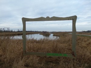 Wolvega, natuurgebied Leendepolder-West (foto: René Hoeflaak)