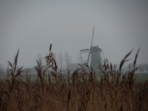 21 januari 2014: De laatste molen aan De Vlist bij Haastrecht (foto: René Hoeflaak) 