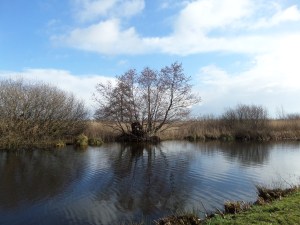 Kockengen, Utrecht, 21 februari 2014: Sloot bij Bijleveld (foto: René Hoeflaak)