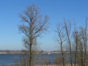 De rivier de Amer  scheidt de natuurgebied de  Bieschbosch van het vaste land van Noord-Brabant. De rivier is 12,5 kilometer lang. (foto: René Hoeflaak)