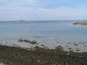 22 april 2014: Slikken en schorren langs de Zijpe, aan de westkust van Sint-Philipsland (foto: René Hoeflaak)