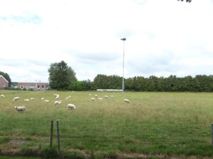 De IJsbaan van IJsvereniging Eendracht in Elim. 'De IJsbaan is helaas gesloten' aldus de vereniging op www.ijsvereniging eendracht.nl 