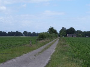 Elim, Drenthe, 14 juni 2014:   het pad Jan Kielwijk (foto: René Hoeflaak)