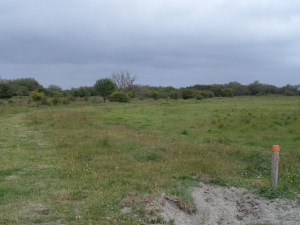 17 juni 2014: Natuurgebied 'De Slikken van Flakkee' (foto: René Hoeflaak)