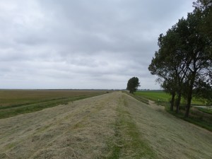 17 juni 2014: Kilometerslange gras- en voormalige zeedijk tussen De Grevelingen, natuurgebied de Slikken van Flakkee en  Dirksland (foto: René Hoeflaak)