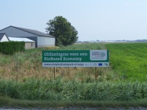 10 juli 2014: Hoofddorp, Rijnlanderweg (foto: René Hoeflaak)