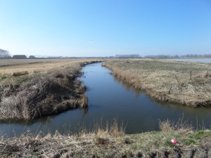 Oude kreek bij de Bosweg bij Sint-Annaland (foto: René Hoeflaak)
