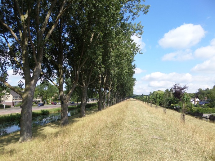 15 juli 2015: Geniedijk bij Hoofddorp (foto: René Hoeflaak) 