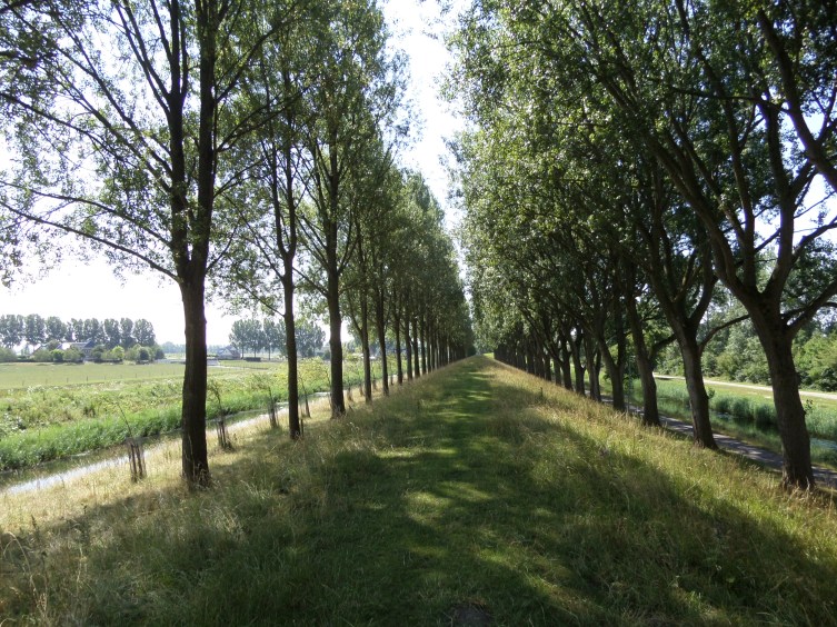 16 juli 2015: Geniedijk bij Vijfhuizen (foto: René Hoeflaak)