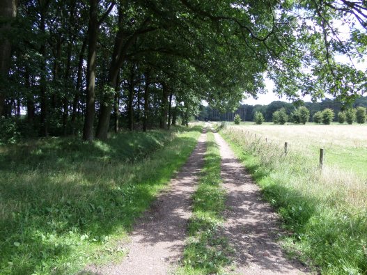 31 juli 2015: een recht pad van Ossendrecht naar België (foto: René Hoeflaak)