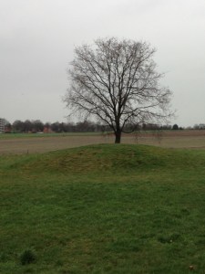 29 januari 2016: grafheuvel op de Soester Eng (foto: René Hoeflaak) 