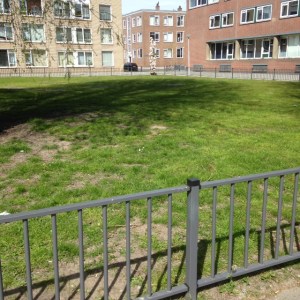 Rotterdam, 2 mei 2016: Joodse begraafplaats aan de Jan Van Loonslaan (foto: René Hoeflaak)