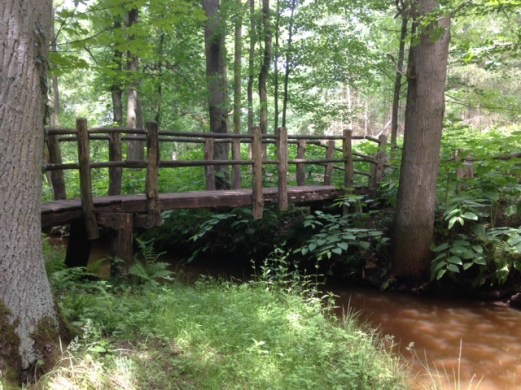 10 juni 2016: Koevoirtbrug over de Reusel (foto: René Hoeflaak)