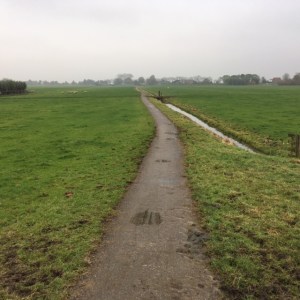 13 november 2016: Korte Kerkpad in de polder bij Weipoort (foto: René Hoeflaak)